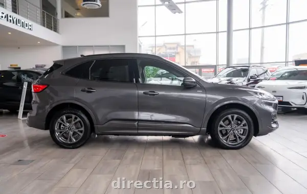 Poza anunț 5