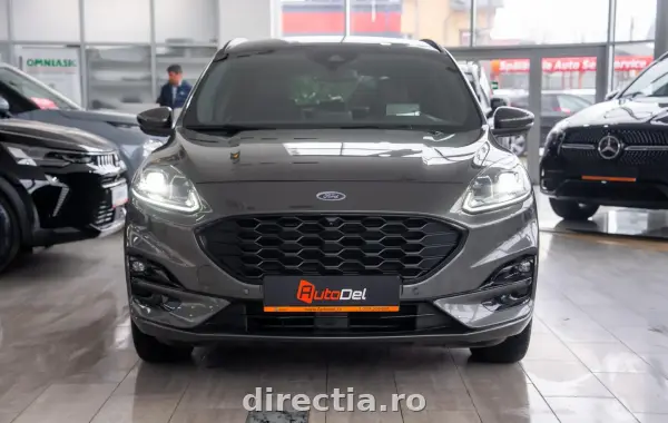 Poza anunț 2