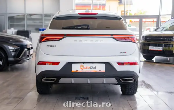 Poza anunț 8