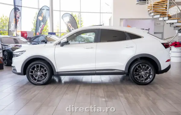 Poza anunț 7