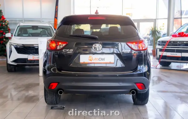 Poza anunț 7