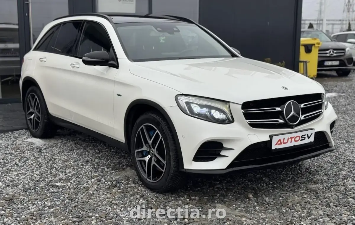 Poza principală