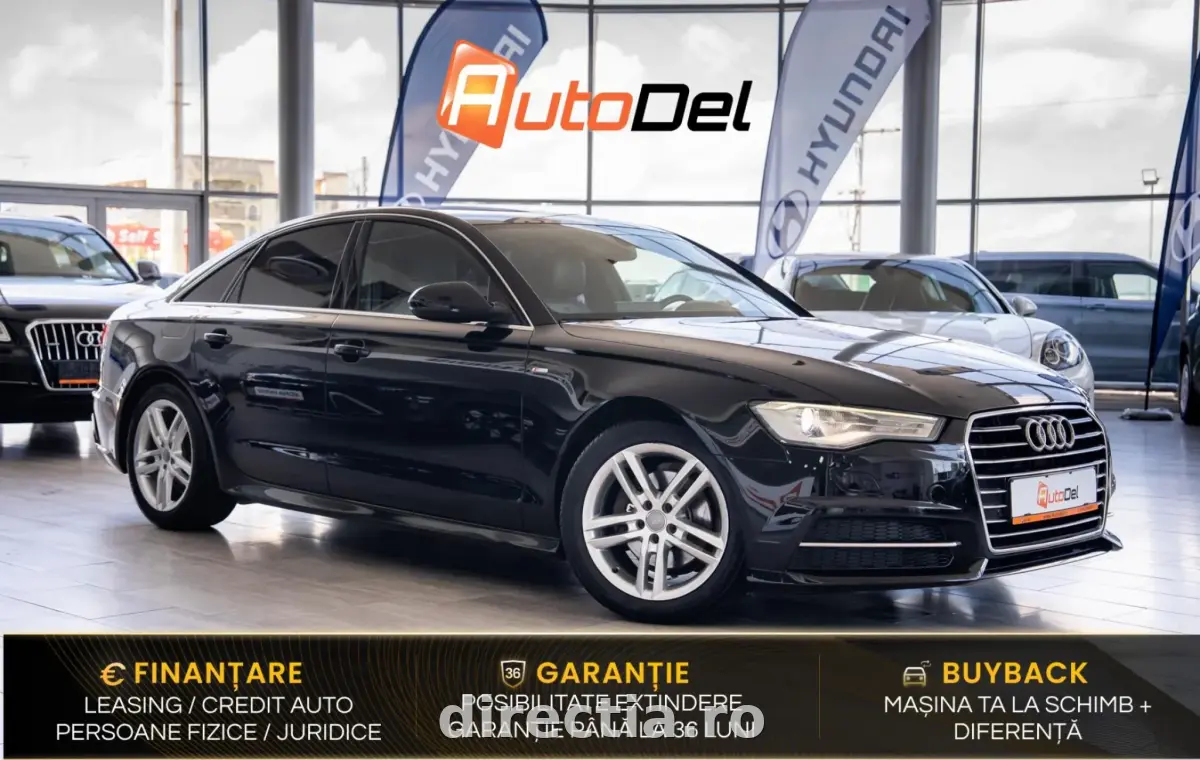 Poza principală